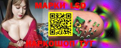 стафф Гусев