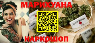 стафф Гусев