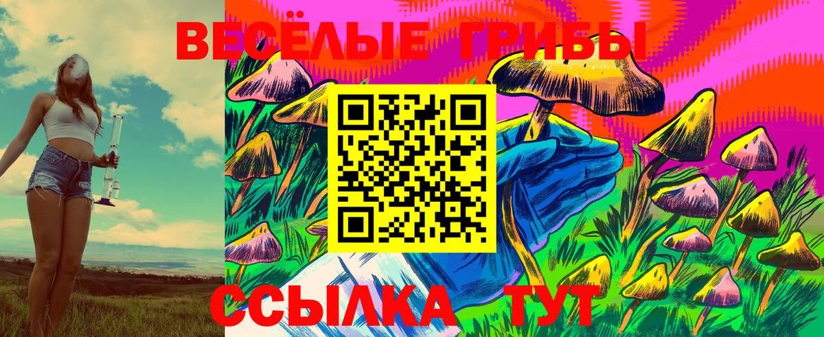 Псилоцибиновые грибы Psilocybine cubensis  Вход с VPN  Нарткала 