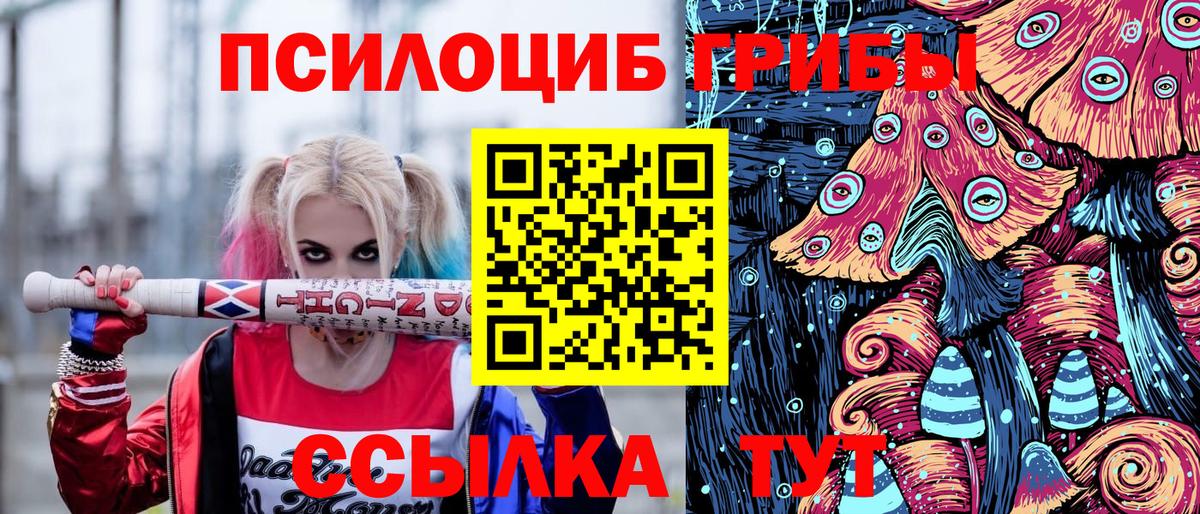 Галлюциногенные грибы Psilocybine cubensis Нарткала