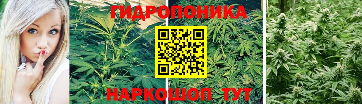 Бошки марихуана VHQ Нарткала